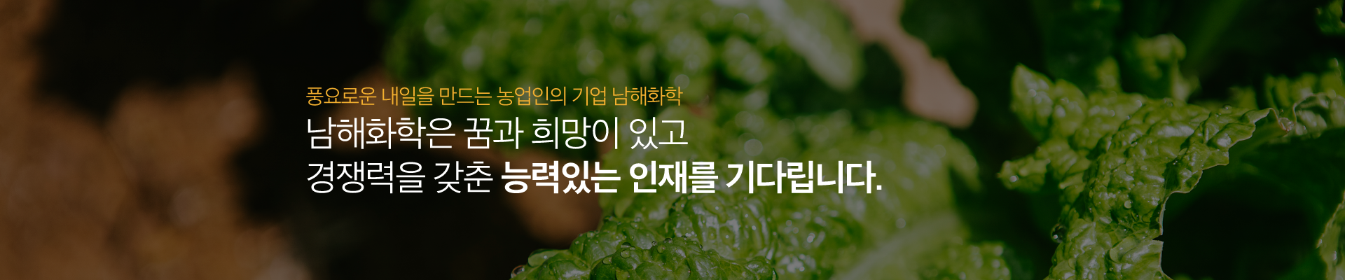  남해화학 신입사원 모집.png